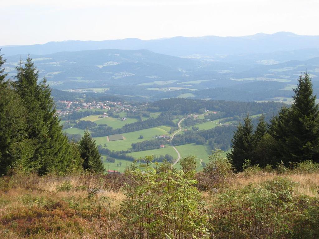 Pension Landhaus Riedelstein Drachselsried Buitenkant foto
