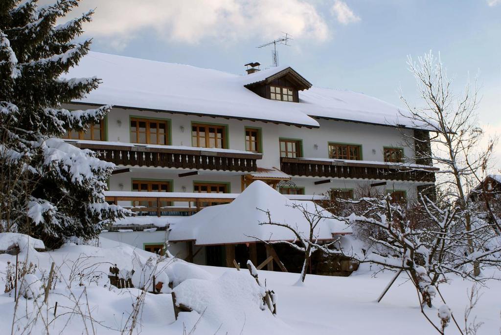 Pension Landhaus Riedelstein Drachselsried Buitenkant foto